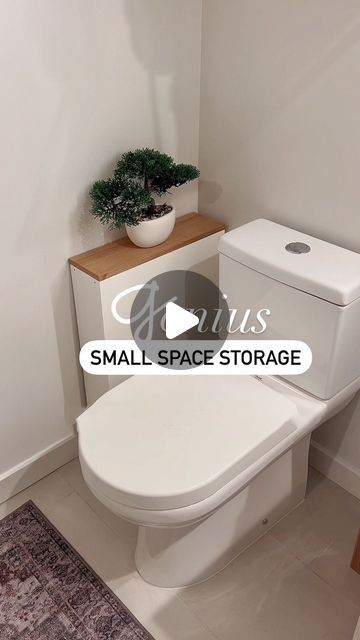 a white toilet sitting in a bathroom next to a wooden shelf with a potted plant