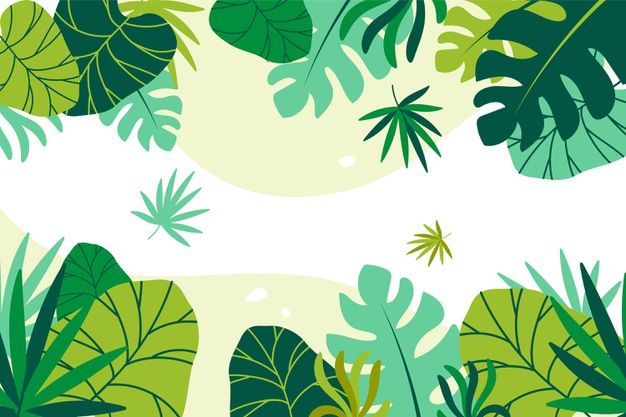 a green and white background with lots of leafy plants on the bottom right corner