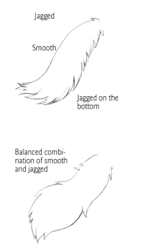 three different types of feather feathers