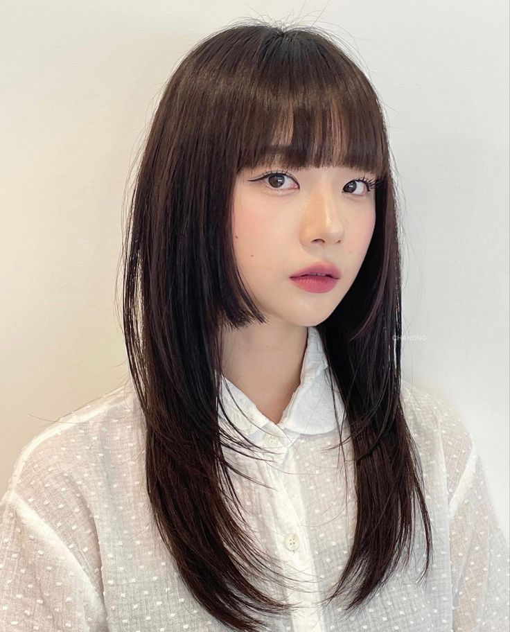 Cool Korean Haircut, Korean Hime Haircut, Hime Haircut On Round Face, Himecut Long Hair, Hime Cut With Wispy Bangs, Haircuts Korean Style, Hush Cut Hair Medium With Bangs, Haircut Korean Girl, Japanese Bangstyle Hair