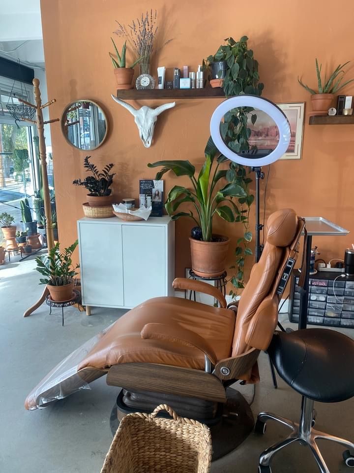 a chair and some plants in a room