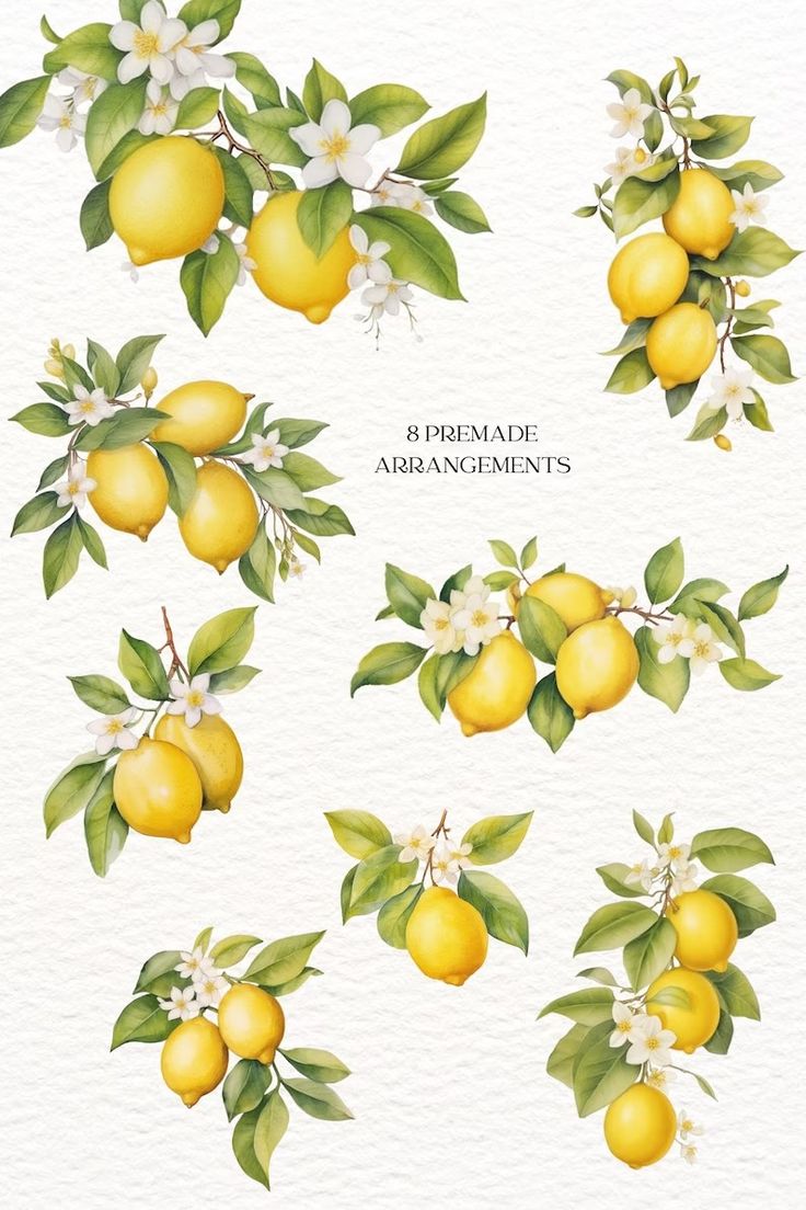 watercolor lemons with leaves and flowers on the branches, set of four illustrations