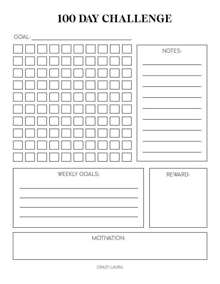 the 100 day challenge is shown in black and white, with an image of a goal sheet