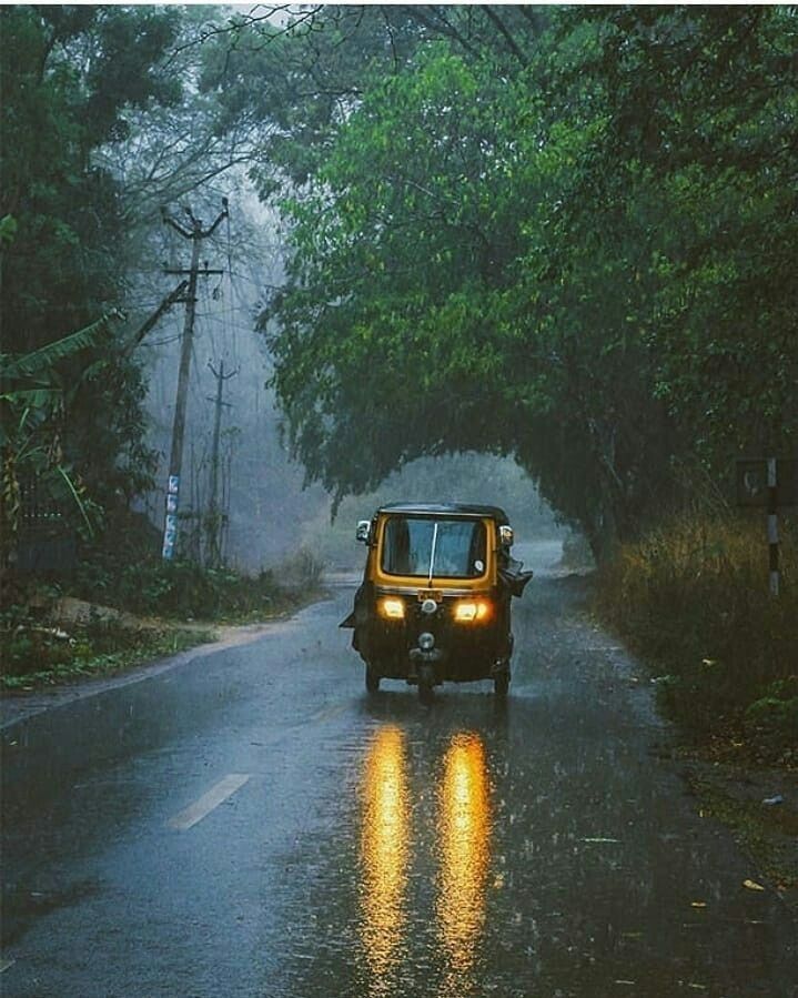 a yellow jeep driving down a rain soaked road in the middle of trees and bushes