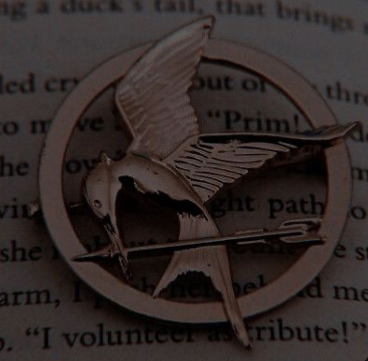 a metal bird brooch sitting on top of an open book