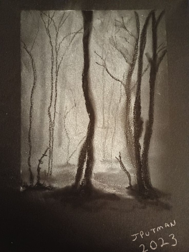 a drawing of some trees in the woods