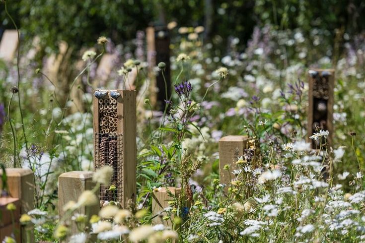 an assortment of beehives and flowers in a field