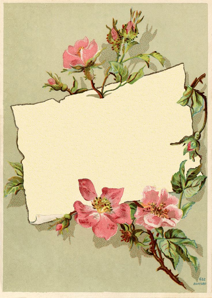 an old fashioned card with pink flowers and green leaves on the bottom, along with a white sheet of paper in the middle