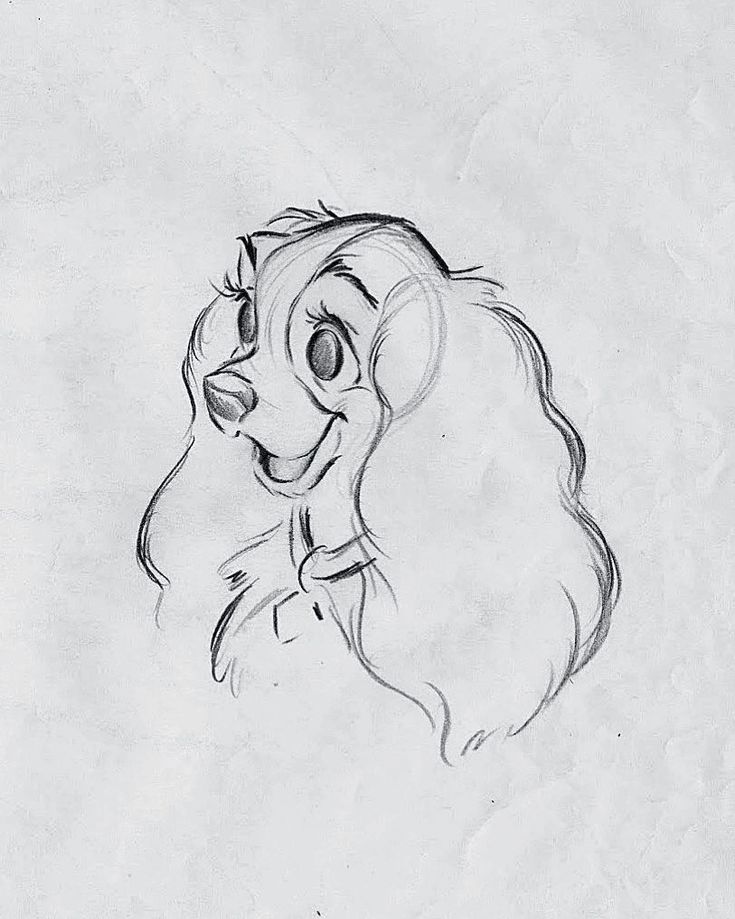 a drawing of lady and the tramp from disney's beauty and the beast