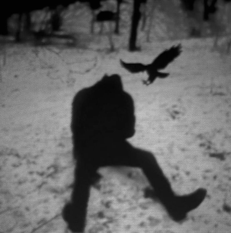 the shadow of a person walking in the snow with a bird flying over them and people sitting on benches