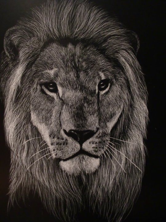 a black and white drawing of a lion's face