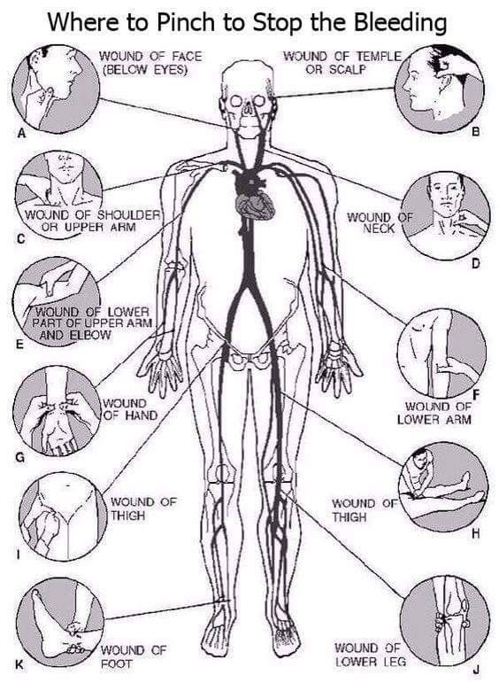 diagram of the human body with labels on it and instructions for each part of the body