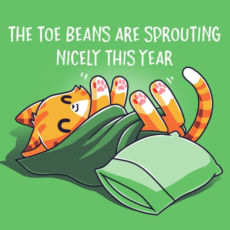 an orange and white cat laying on top of a green pillow with the caption, the toe beans are sprouting nicely this year