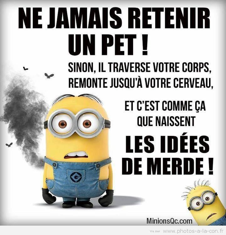 Ne jamais #retenir un pet , sinon il #traverse votre #corps remonte jusqu'à votre #cerveau et c'est comme ça que naissent , les idées de #merde ! #blague #drôle #drole #humour #mdr #lol #vdm #rire #rigolo #rigolade #rigole #rigoler #blagues #humours #france #paris #google #twitter #youtube #facebook #pinterest #marseille #europe Funny Relationship Pictures, Twitter Humor, Boyfriend Quotes Relationships, Image Meme, Minions Humor, Relationship Images, Funny Relationship Memes, Relationship Quotes For Him, Funny Relationship Quotes