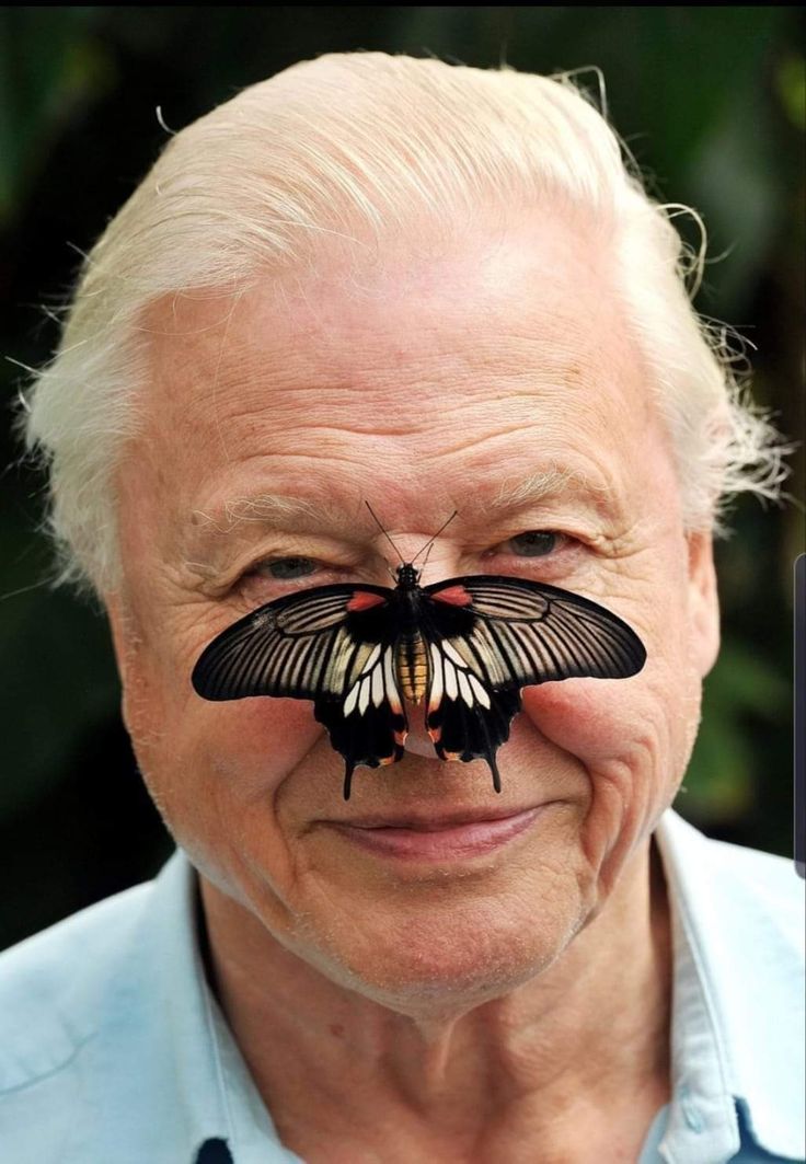 an old man with a butterfly on his nose