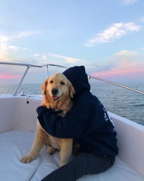 a dog sitting on the back of a boat with its owner in front of it