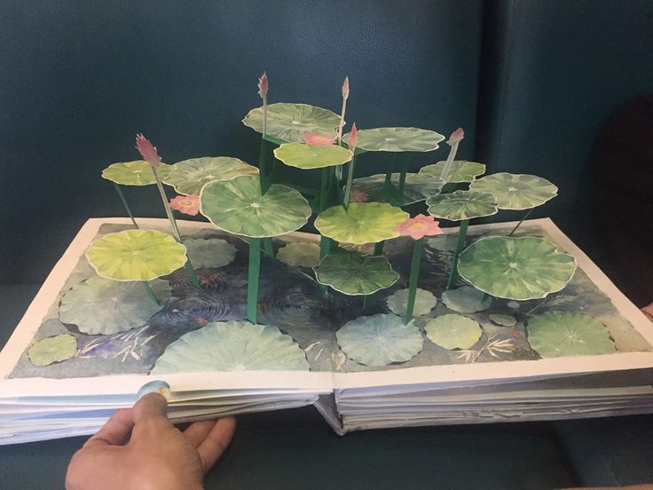 an open book with water lilies and leaves on it, being held by someone's hand