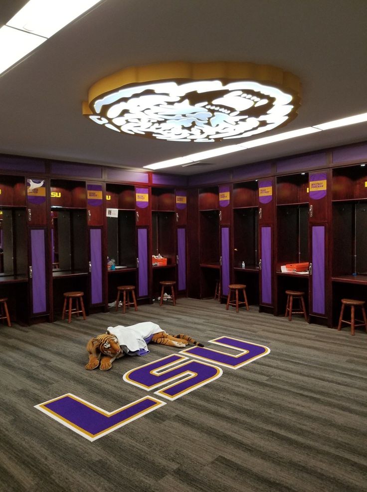 an empty locker room with purple and gold decorations on the floor, two teddy bears laying on the floor in front of them