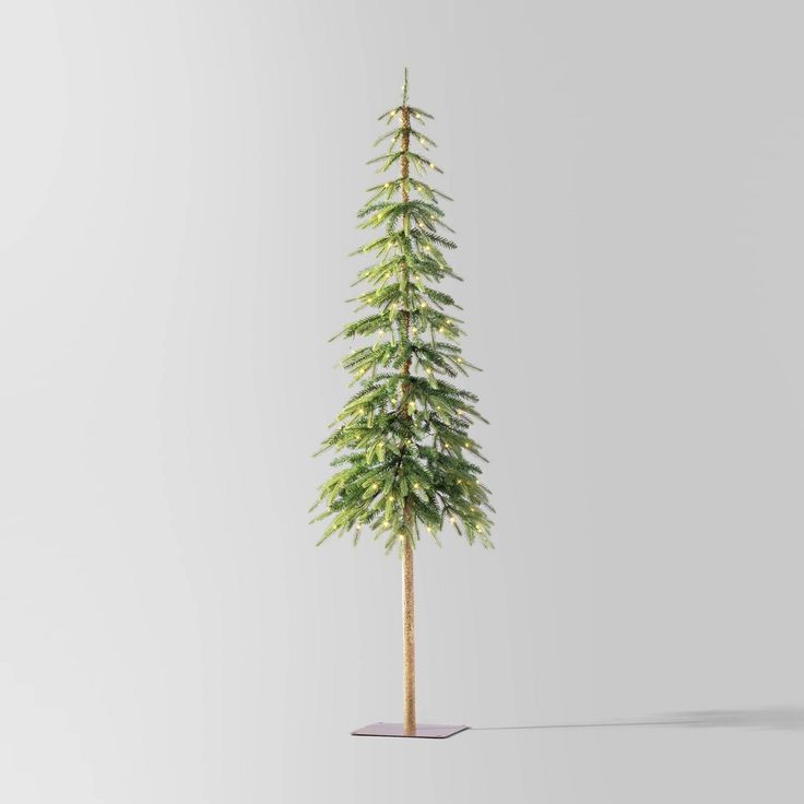 a tall pine tree is shown in the middle of an empty room with white walls