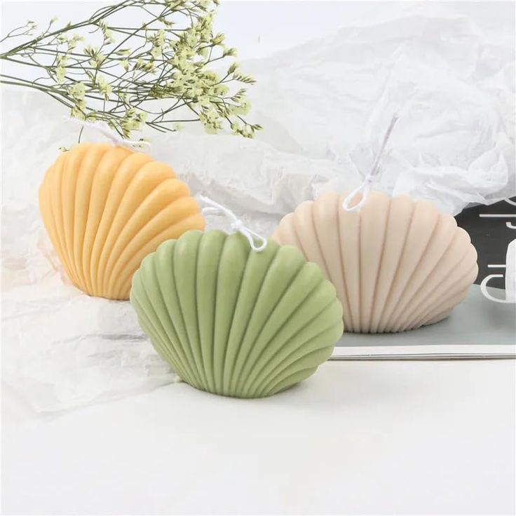 three seashell shaped candles sitting next to each other