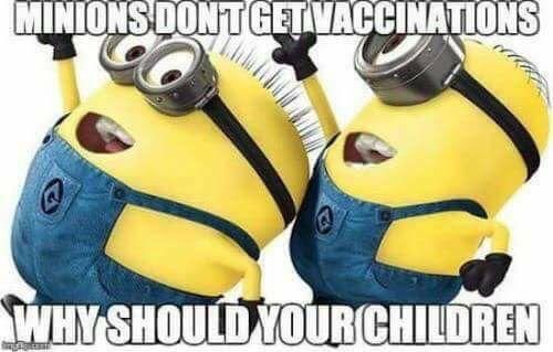 two minion characters with the caption minions don't get vacations why should your children?