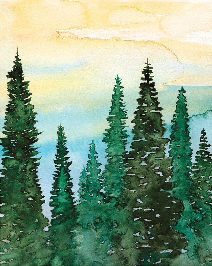 watercolor painting of pine trees in front of an orange and blue sky with clouds