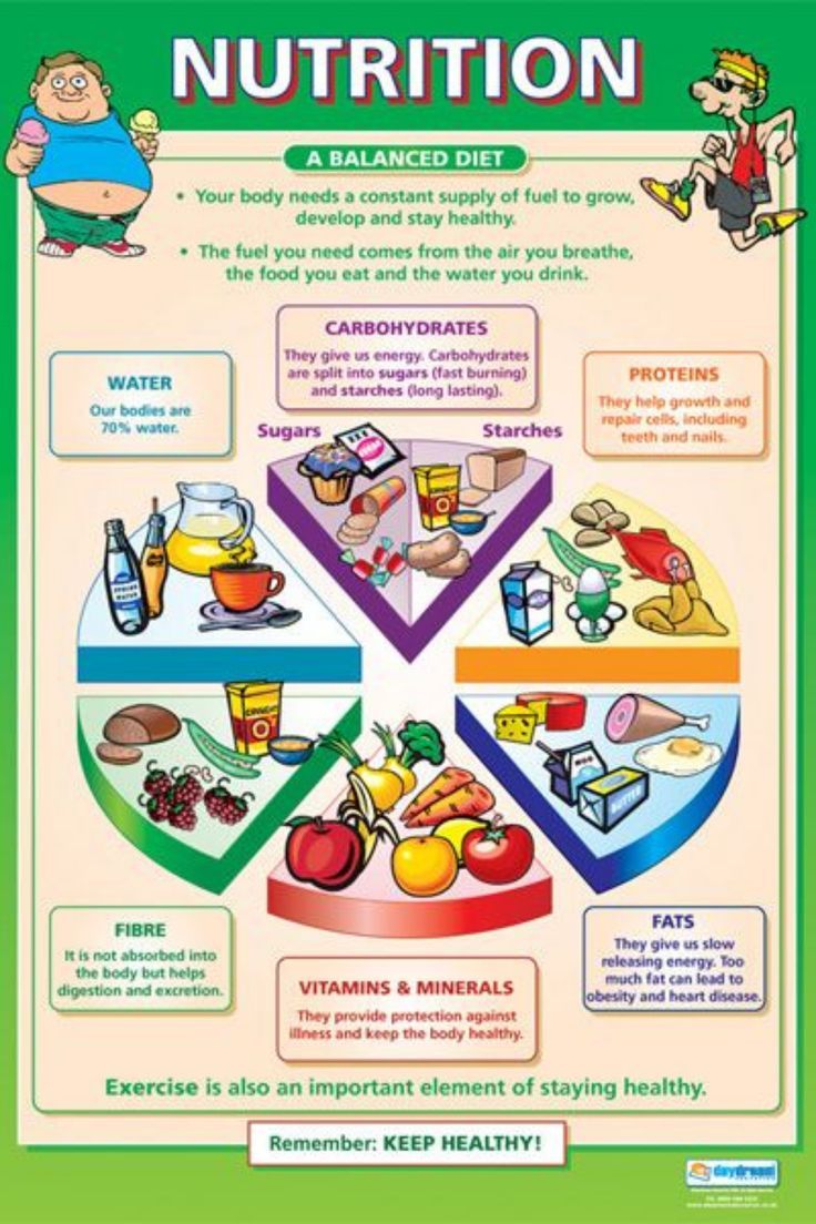 Nutrition Tips and Guide Food Chart For Kids, Balanced Diet Chart, Healthy Eating Plate, Nutrition Poster, Nutrition Activities, Healthy Food Habits, Nutrition Chart, Diet Chart, Food Charts