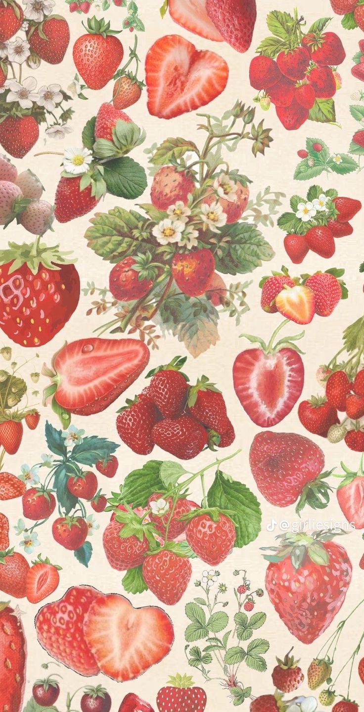 a bunch of strawberries and other fruit on a white background with green leaves, flowers, and berries