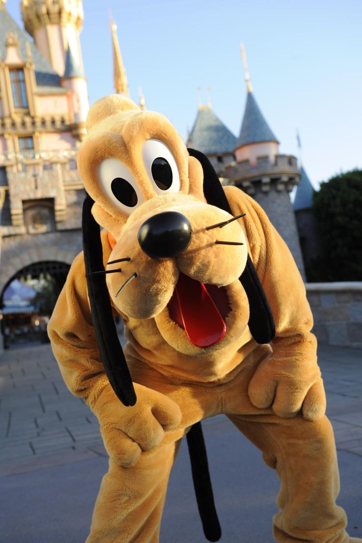 a dog mascot standing in front of a castle