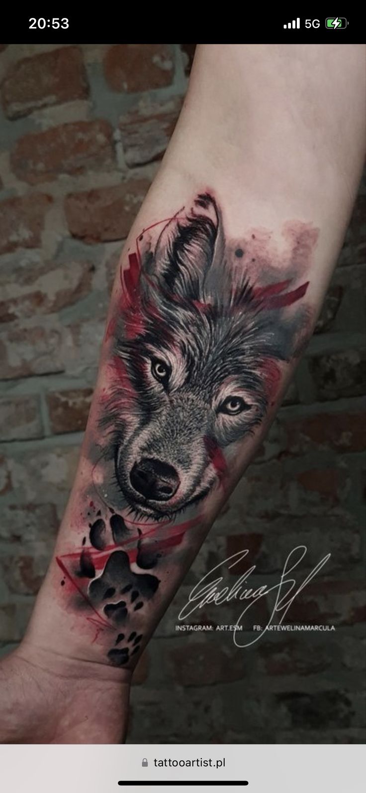 a wolf tattoo on the arm