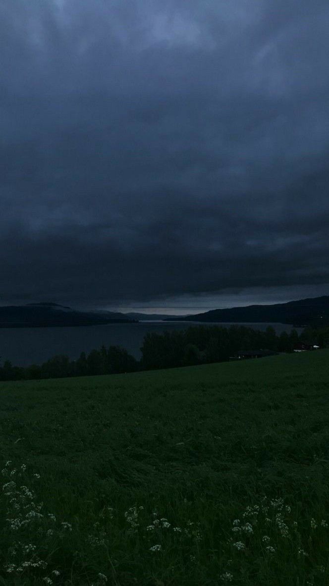 a lone horse standing in a field at night with dark clouds above the water behind it