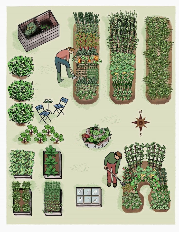 an illustrated garden with various plants and people working in it's own backyard area