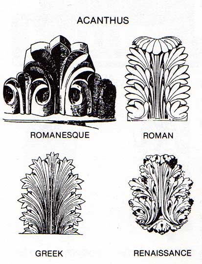 four different types of plants and their names