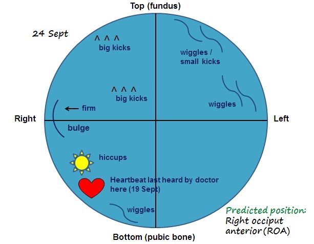 the four quadrants are labeled in red, white and blue with words on them