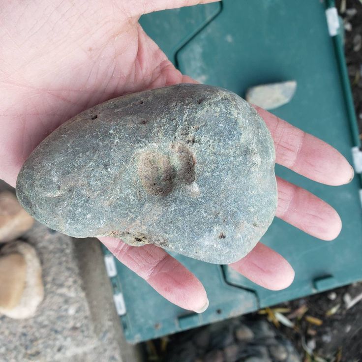 a person holding a rock in their hand