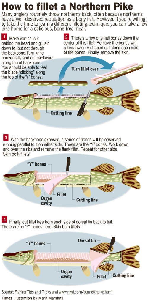 how to fill a northern pike