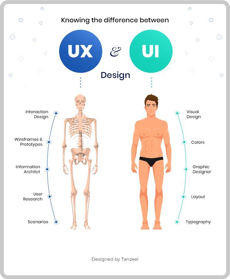 the human body with different types of skeletal bones and their corresponding parts to each other