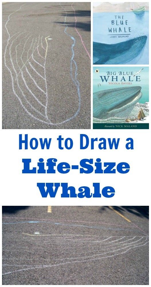 how to draw a life - size whale in the sand