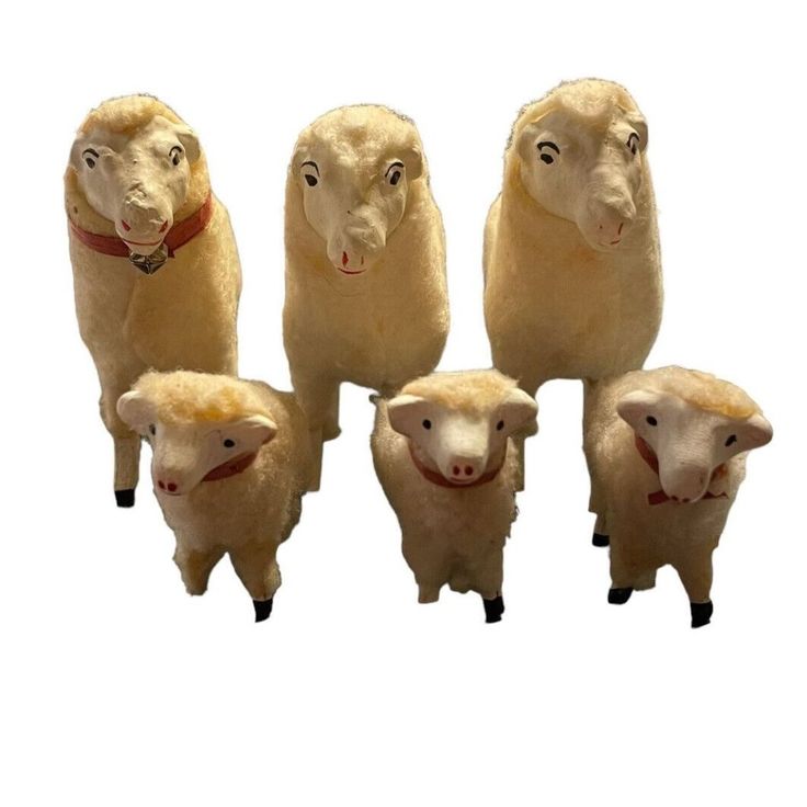 four sheep are shown with different facial expressions