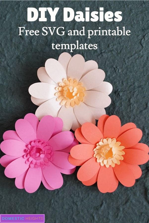 three paper flowers with the text diy daisies free svg and printable templates