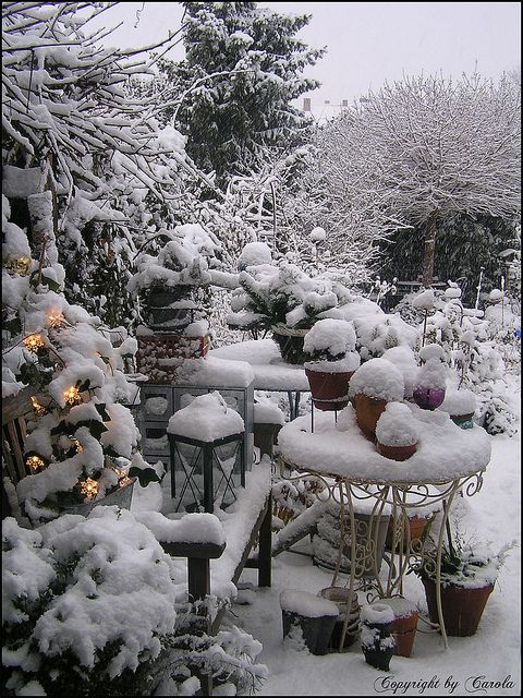 a snowy garden with potted plants and lights