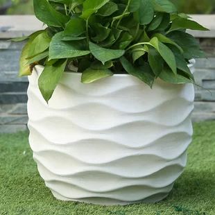 a white planter filled with green plants on top of grass