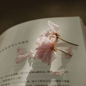 some pink flowers on top of an open book