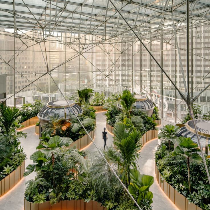 an indoor garden with lots of trees and plants