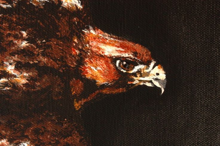 a painting of a brown and white bird on a black background, with the head turned to the right