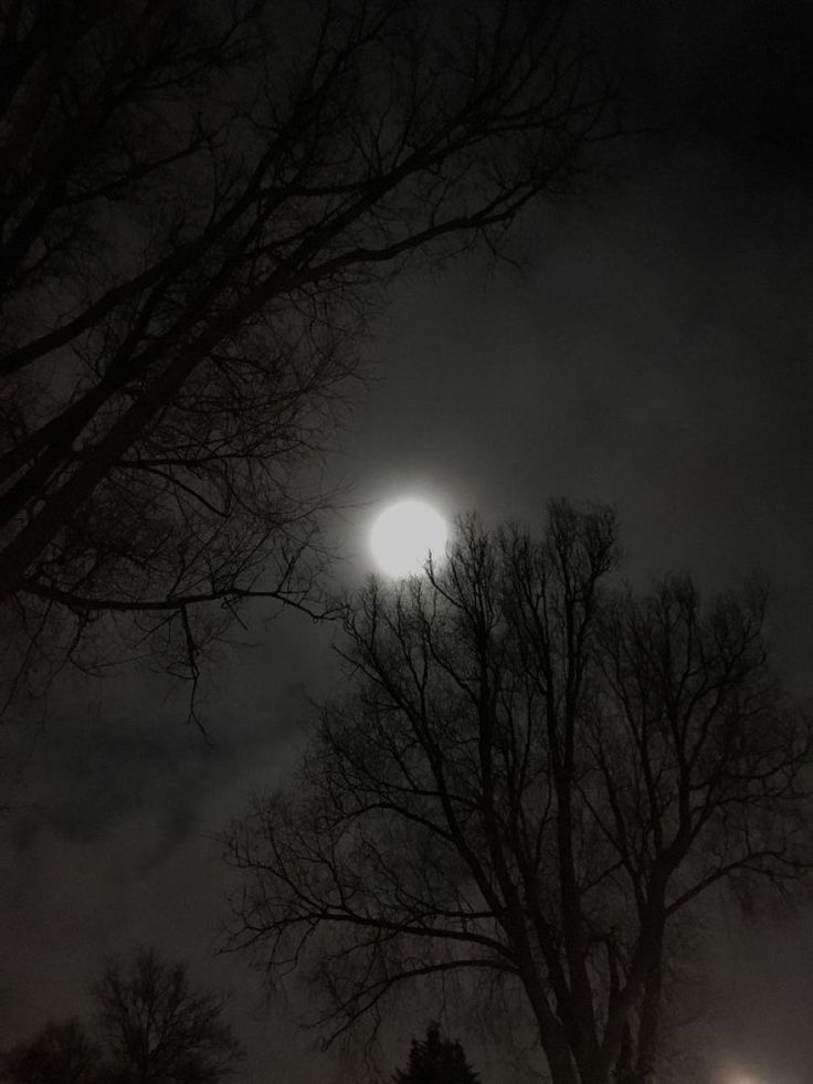 the full moon shines brightly in the dark night sky over trees and street lights