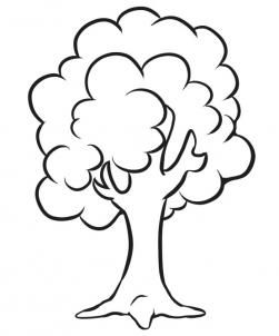 a black and white drawing of a tree