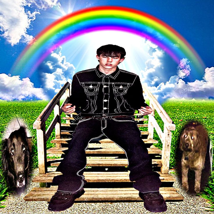 a man sitting on a wooden bridge with two dogs and a rainbow in the background