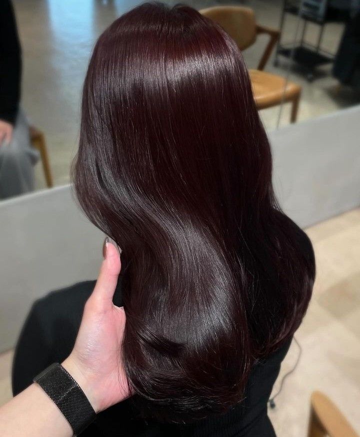 Dark Mocha Brown Hair Chocolates, Red Toned Dark Brown Hair, Very Dark Red Hair Color, Dark Burgundy Brown Hair Color, Black Cherry Brown Hair, Plum Chocolate Hair Color, Dark Brown Red Tint Hair, Soft Burgundy Hair, Dark Brunette Hair With Red Undertones