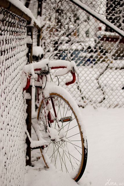 a bike leaning against a fence covered in snow